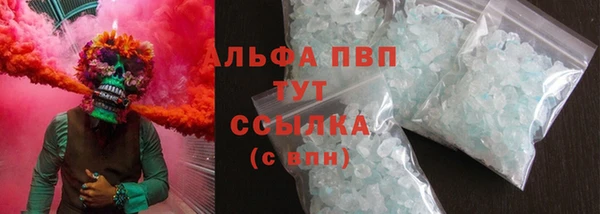 гидра Аркадак