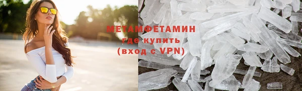 гидра Аркадак