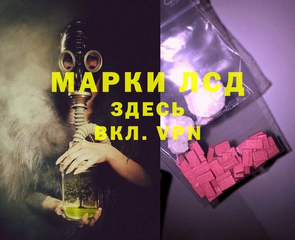 гидра Аркадак